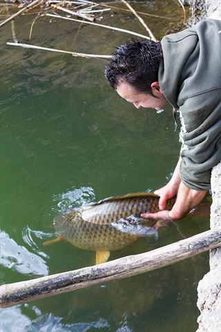 Captain-Carp